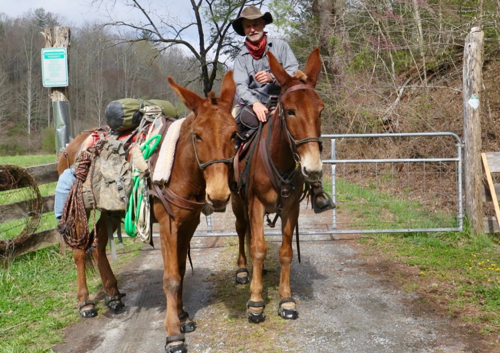 Bernie Harberts, mule, trail ride, adventure, fence 